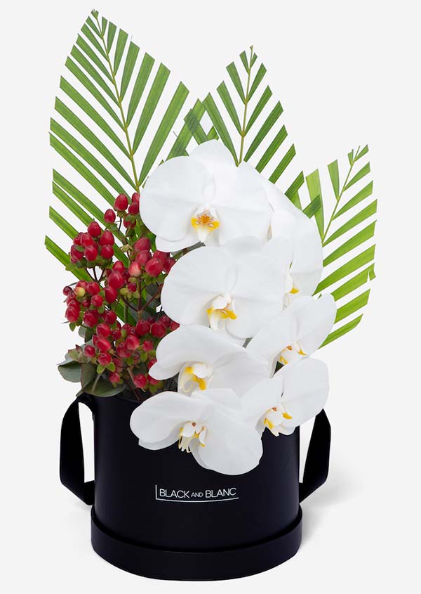 Bouquets from BLACK AND BLANC